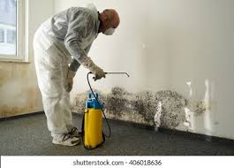 Why You Should Choose Our Mold Remediation Services in Penrose, CO